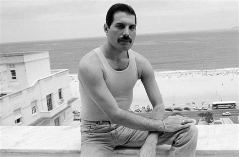 freddie mercury gay|Why Freddie Mercury never revealed his sexuality